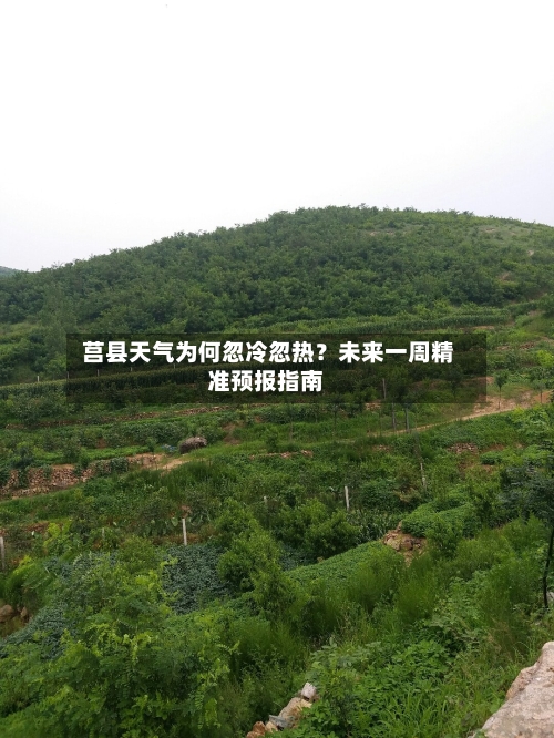  莒县天气为何忽冷忽热？未来一周精准预报指南