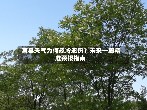  莒县天气为何忽冷忽热？未来一周精准预报指南