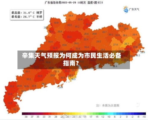  辛集天气预报为何成为市民生活必备指南？