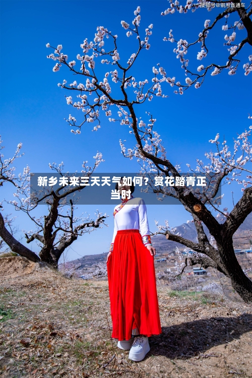  新乡未来三天天气如何？赏花踏青正当时