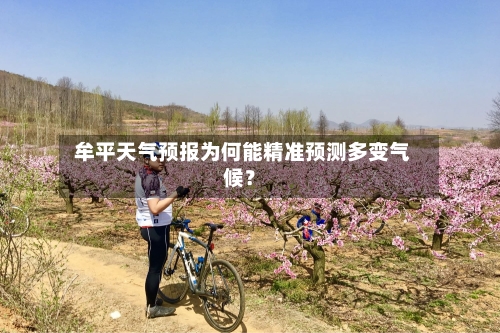  牟平天气预报为何能精准预测多变气候？