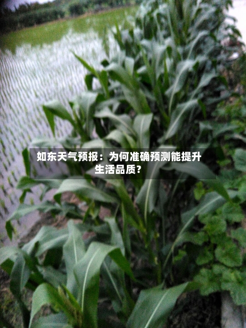  如东天气预报：为何准确预测能提升生活品质？