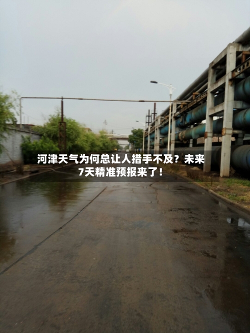  河津天气为何总让人措手不及？未来7天精准预报来了！