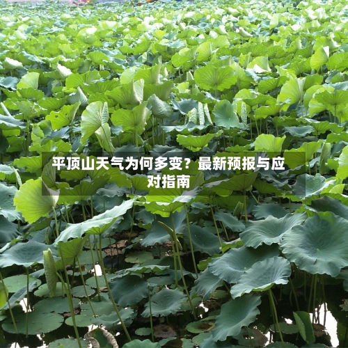  平顶山天气为何多变？最新预报与应对指南  