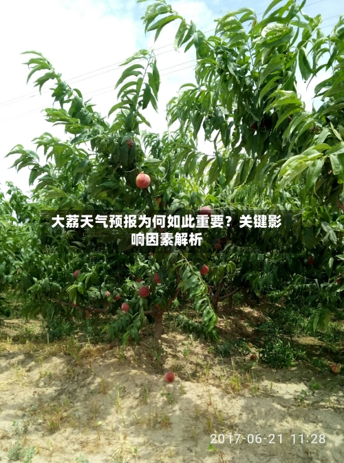  大荔天气预报为何如此重要？关键影响因素解析  