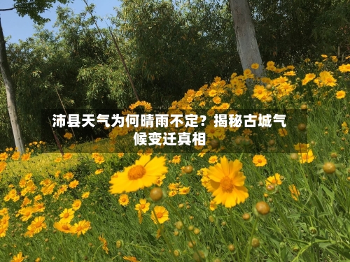  沛县天气为何晴雨不定？揭秘古城气候变迁真相  