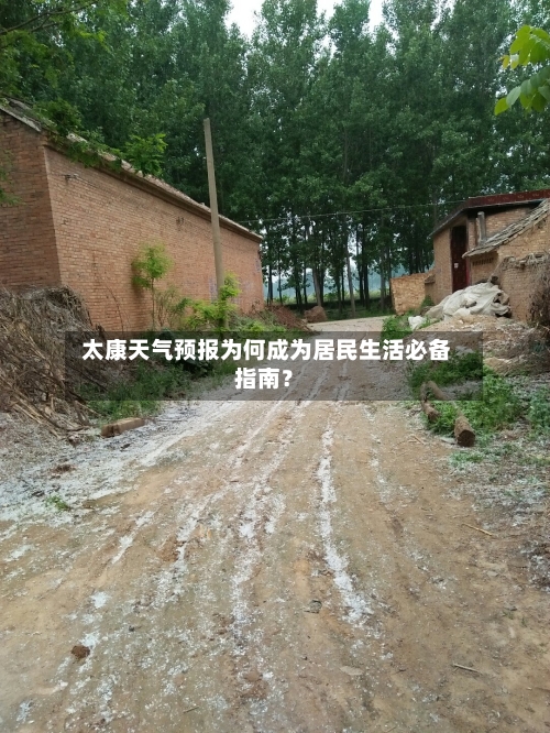  太康天气预报为何成为居民生活必备指南？
