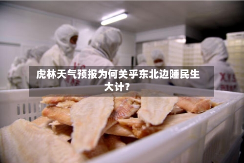  虎林天气预报为何关乎东北边陲民生大计？