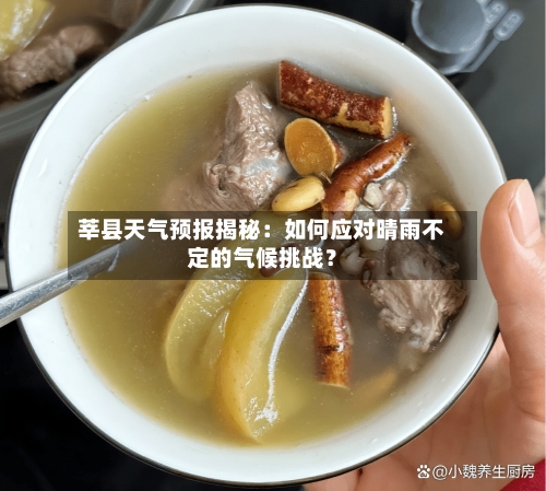 莘县天气预报揭秘：如何应对晴雨不定的气候挑战？