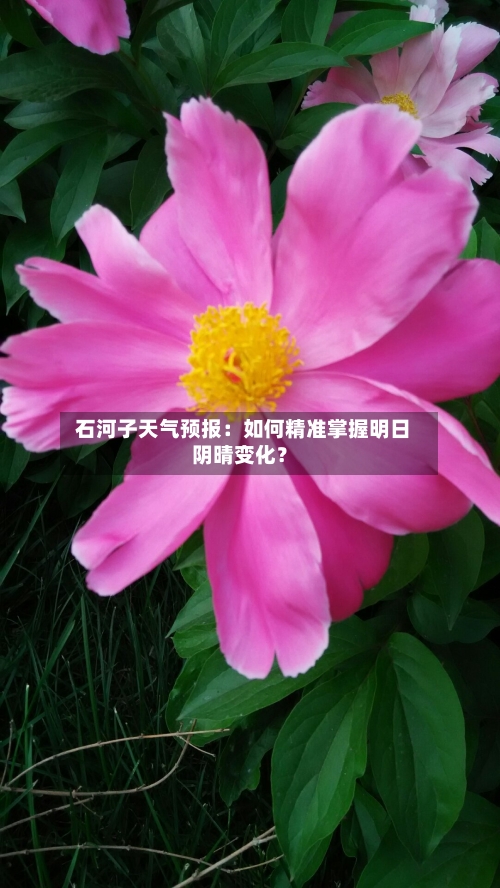  石河子天气预报：如何精准掌握明日阴晴变化？