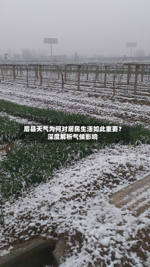  眉县天气为何对居民生活如此重要？深度解析气候影响  