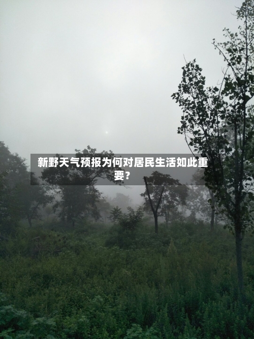  新野天气预报为何对居民生活如此重要？