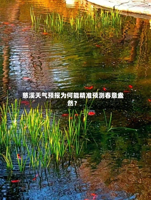  慈溪天气预报为何能精准预测春意盎然？