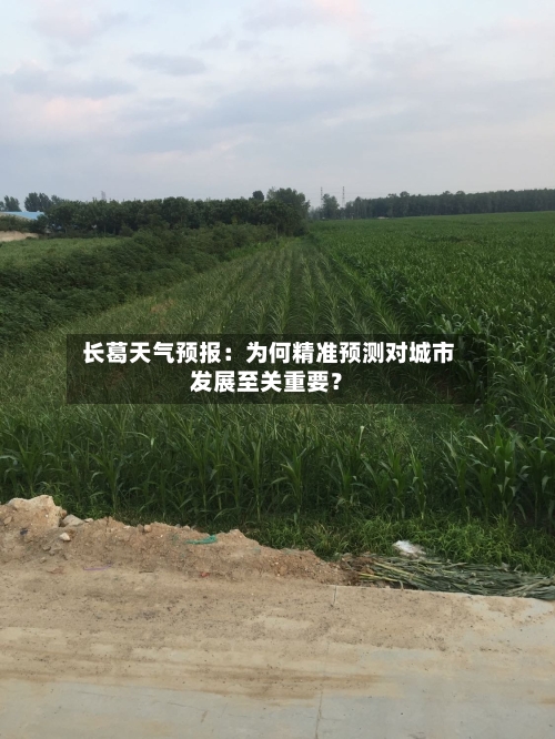  长葛天气预报：为何精准预测对城市发展至关重要？