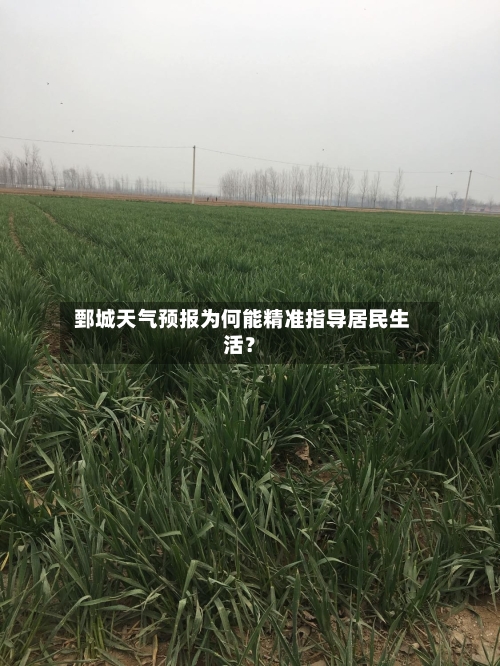  鄄城天气预报为何能精准指导居民生活？