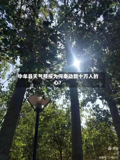 中牟县天气预报为何牵动数十万人的心？