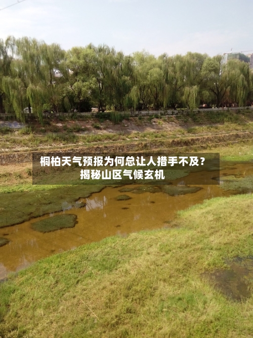  桐柏天气预报为何总让人措手不及？揭秘山区气候玄机  