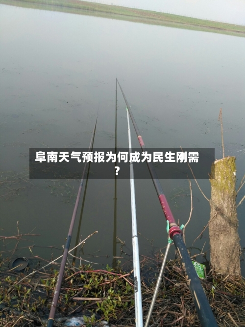 阜南天气预报为何成为民生刚需？