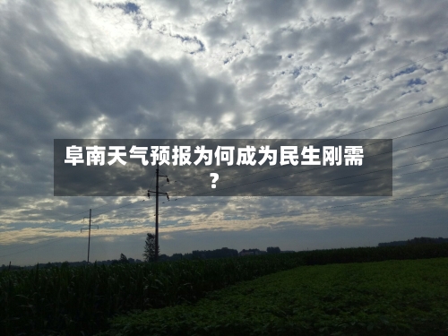 阜南天气预报为何成为民生刚需？