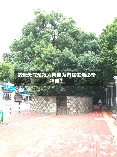  诸暨天气预报为何成为市民生活必备指南？