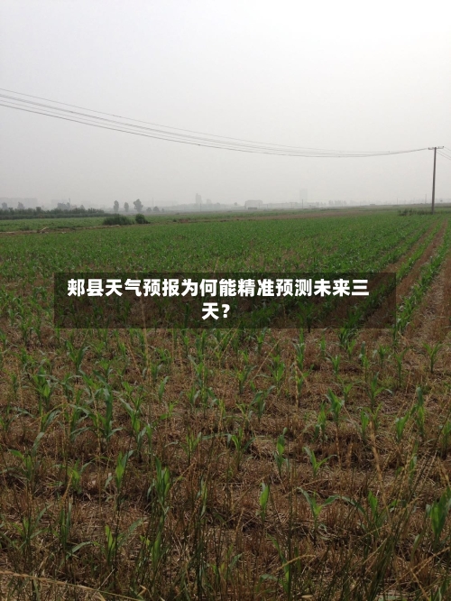  郏县天气预报为何能精准预测未来三天？