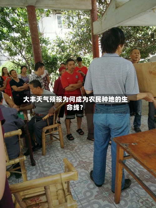  大丰天气预报为何成为农民种地的生命线？