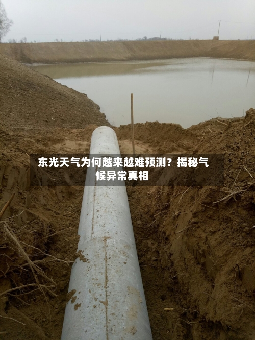  东光天气为何越来越难预测？揭秘气候异常真相