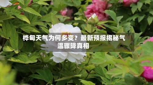  桦甸天气为何多变？最新预报揭秘气温骤降真相