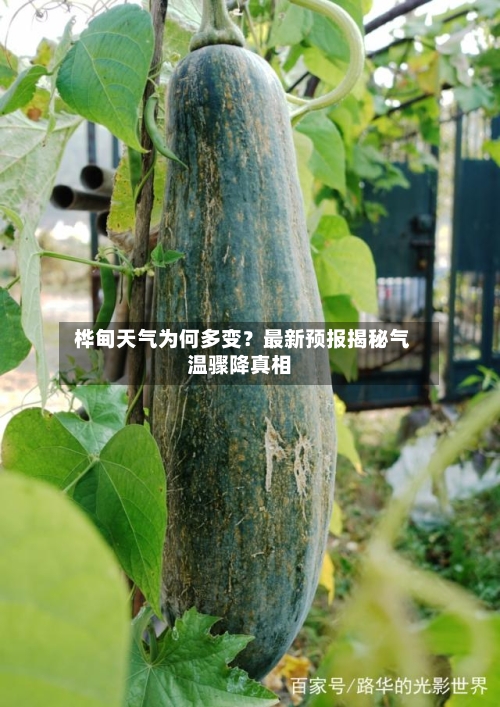 桦甸天气为何多变?最新预报揭秘气温骤降真相