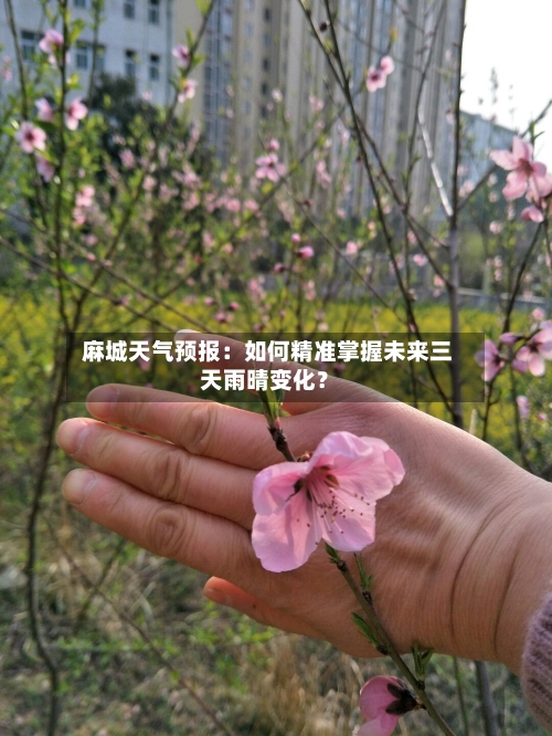  麻城天气预报：如何精准掌握未来三天雨晴变化？