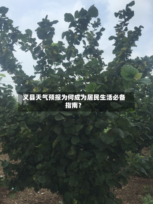 义县天气预报为何成为居民生活必备指南？