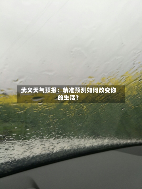 武义天气预报：精准预测如何改变你的生活？