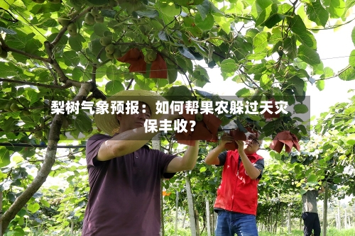 梨树气象预报：如何帮果农躲过天灾保丰收？