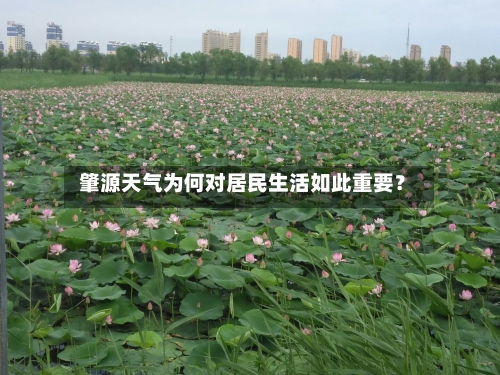  肇源天气为何对居民生活如此重要？  