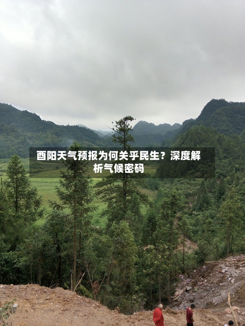  酉阳天气预报为何关乎民生？深度解析气候密码  