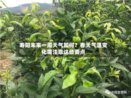  寿阳未来一周天气如何？春天气温变化需注意这些要点  