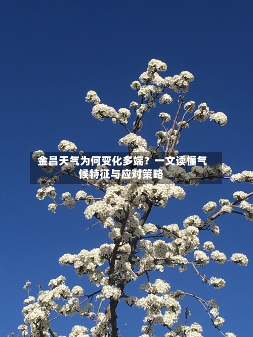  金昌天气为何变化多端？一文读懂气候特征与应对策略