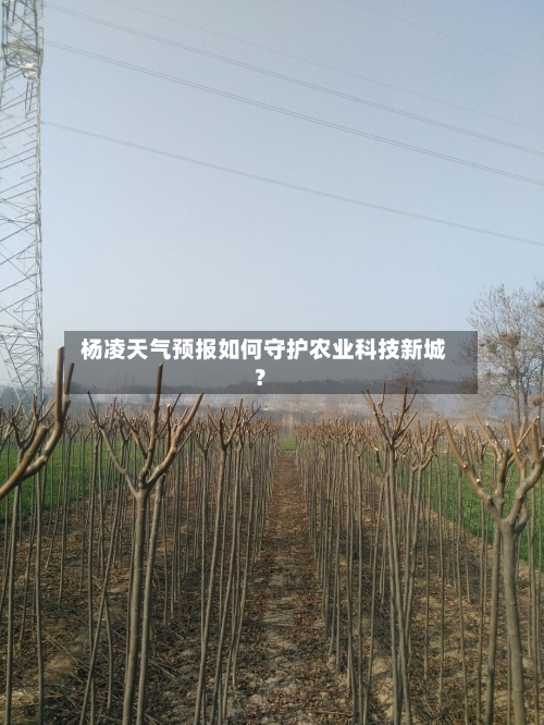  杨凌天气预报如何守护农业科技新城？  