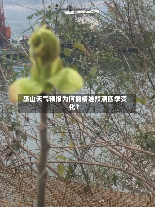  巫山天气预报为何能精准预测四季变化？