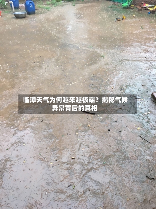  临漳天气为何越来越极端？揭秘气候异常背后的真相