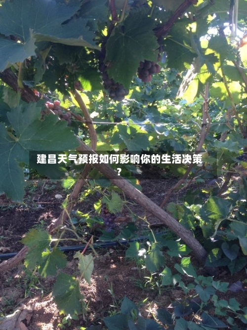 建昌天气预报如何影响你的生活决策？