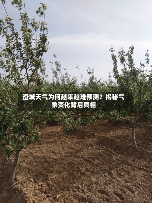  澄城天气为何越来越难预测？揭秘气象变化背后真相  