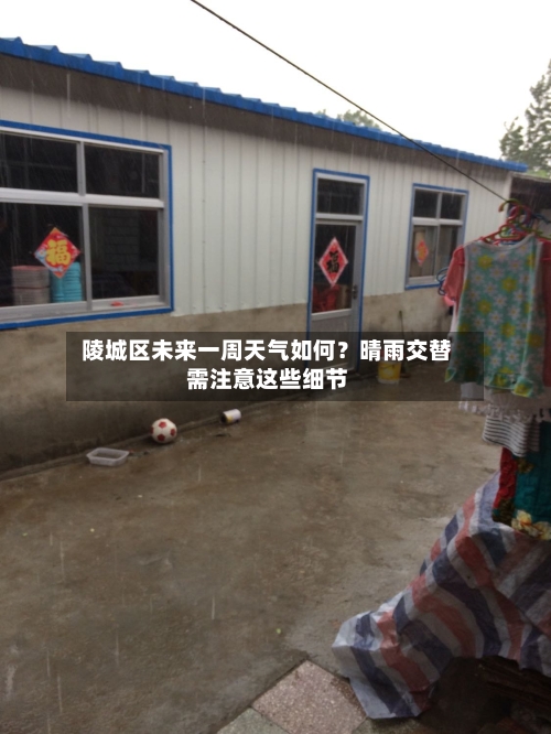  陵城区未来一周天气如何？晴雨交替需注意这些细节  