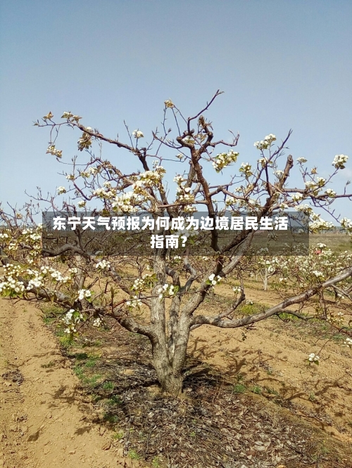  东宁天气预报为何成为边境居民生活指南？