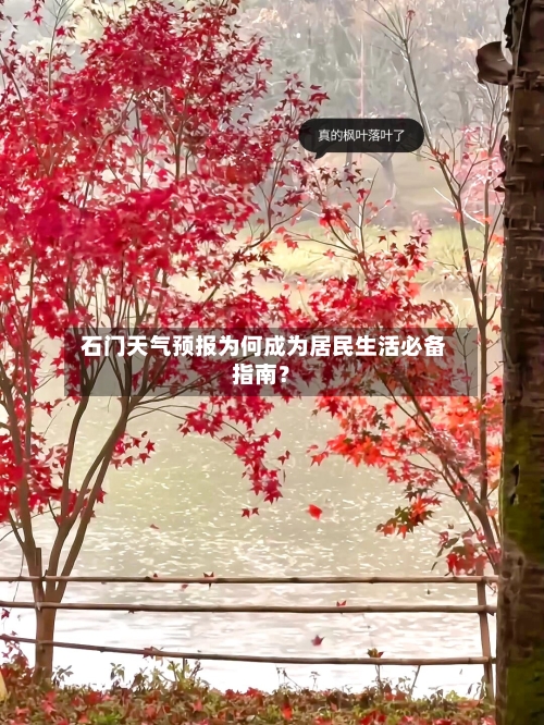  石门天气预报为何成为居民生活必备指南？