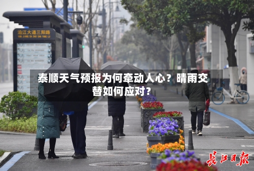  泰顺天气预报为何牵动人心？晴雨交替如何应对？