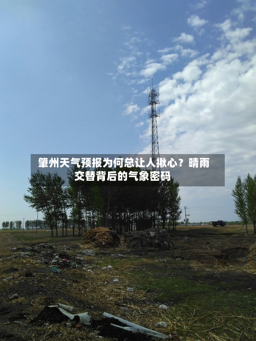  肇州天气预报为何总让人揪心？晴雨交替背后的气象密码