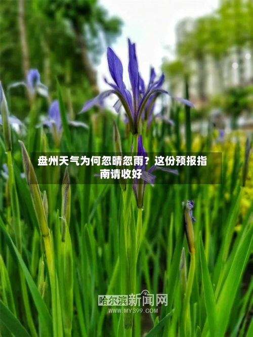  盘州天气为何忽晴忽雨？这份预报指南请收好
