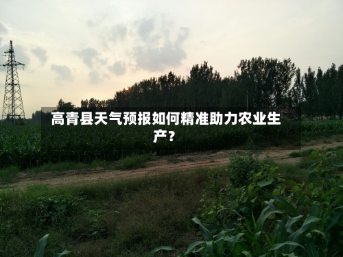  高青县天气预报如何精准助力农业生产？