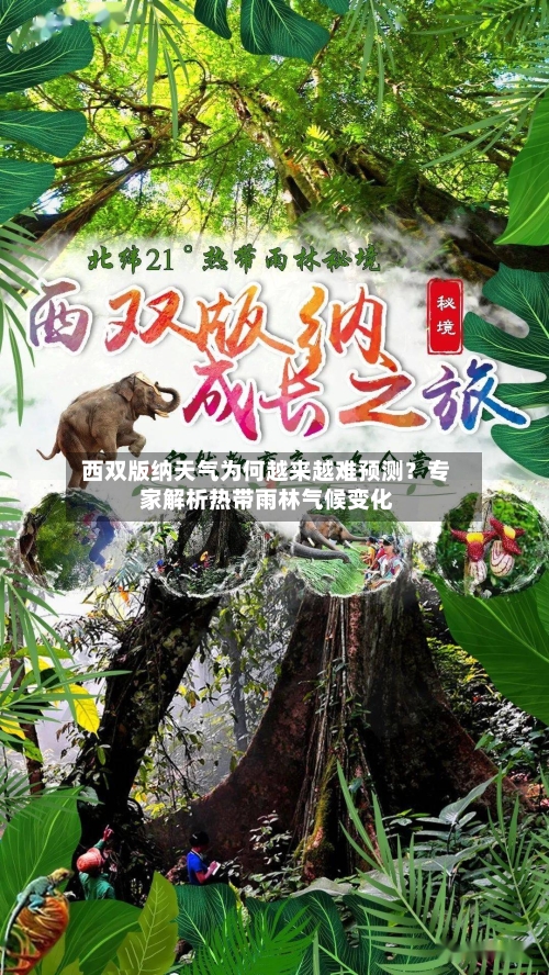  西双版纳天气为何越来越难预测？专家解析热带雨林气候变化  